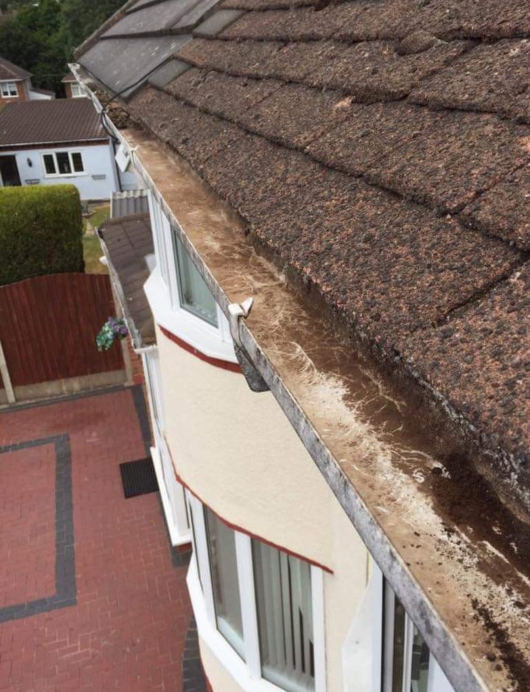 Gutter cleaning equipment reaching over a conservatory